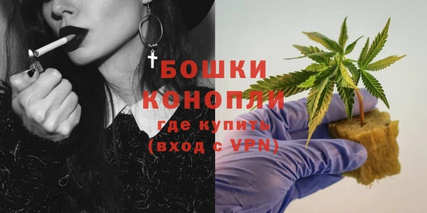 ПСИЛОЦИБИНОВЫЕ ГРИБЫ Богородск