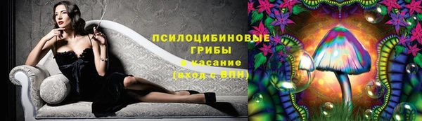 трава Богданович